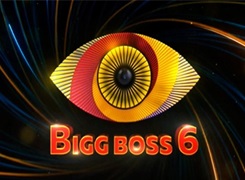 Bigg Boss Telugu Season 6 Logo